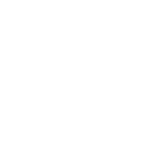 BMW Logo