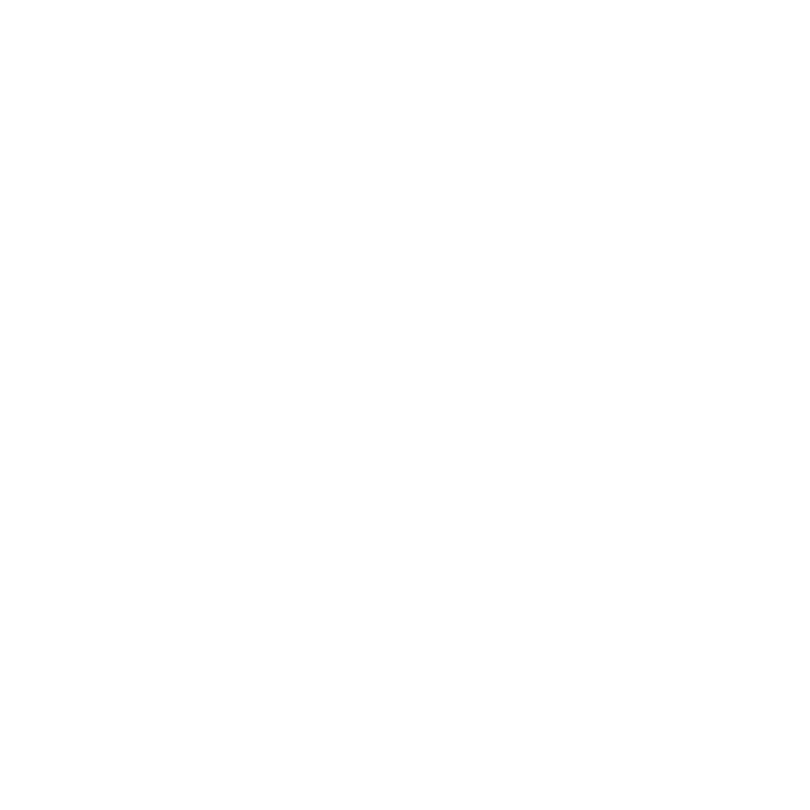 Audi Logo