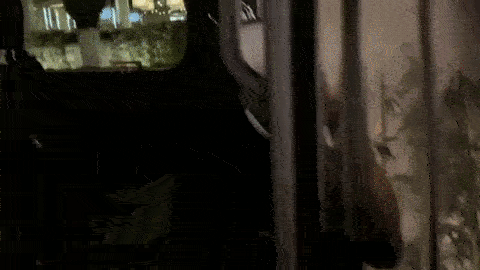 15 passenger Mercedes Benz Sprinter Van rental mph club