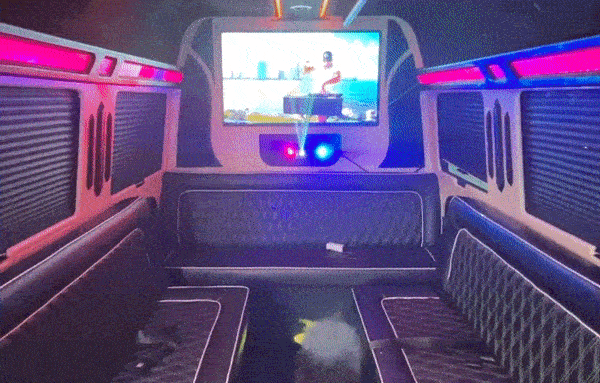 12 passenger sprinter limo vip rental